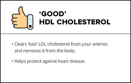 cholesterol1