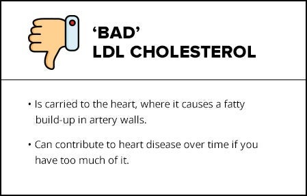 cholesterol2