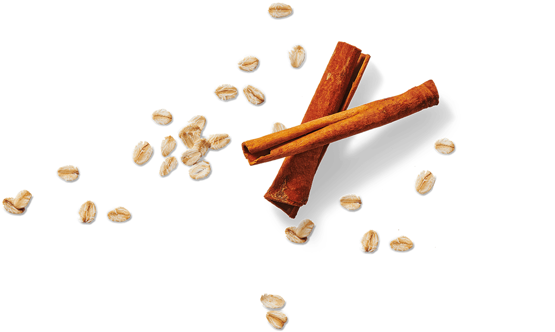 Flair #1 - Quick Sachets Brown Sugar Flavour & Cinnamon
